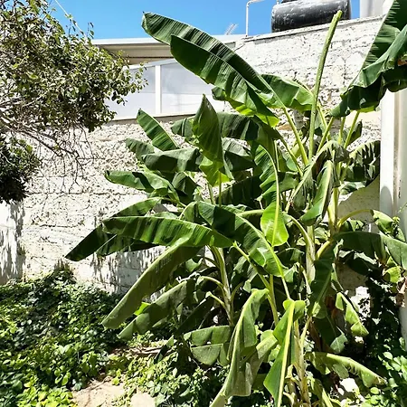Villa Layla On The